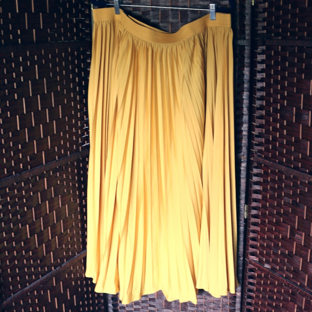 Plus Size Skirt